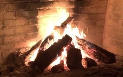 Campfire Stories: A Bearded Legend