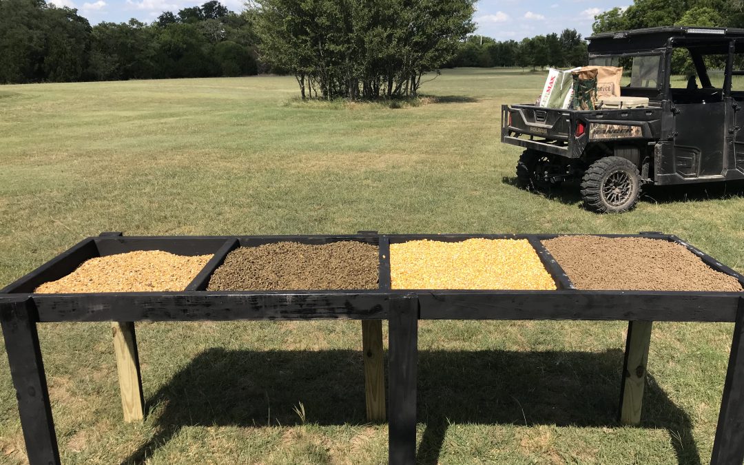 The DIY Feed Bandit Feed Testing Trough