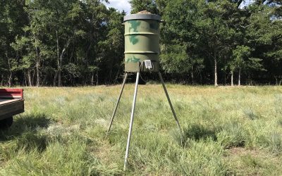 Tips on how to beat the high corn prices