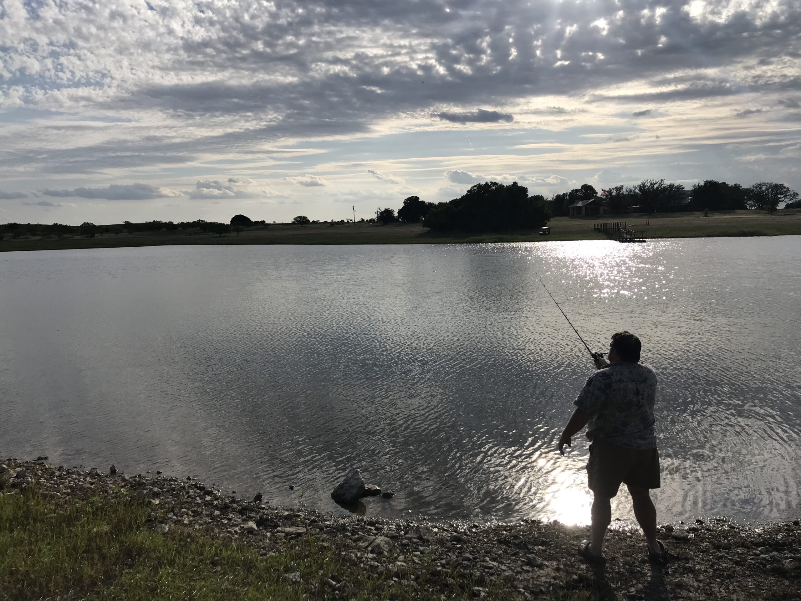 The dog days of summer are here, what are the animals doing?