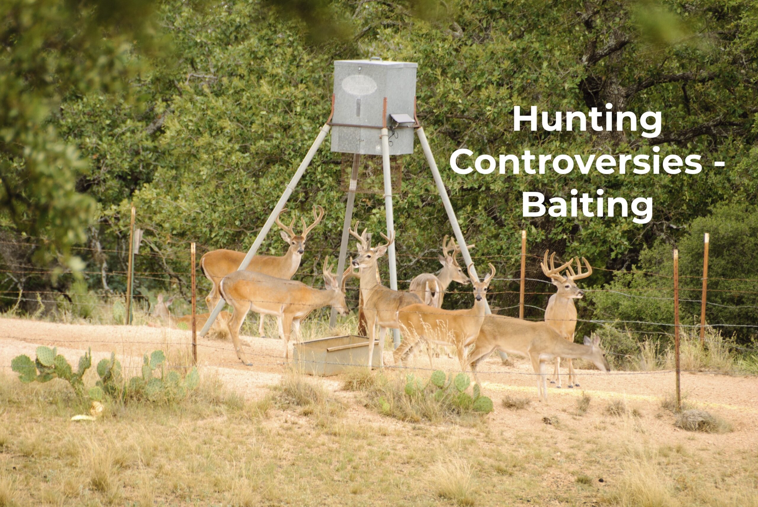 Hunting Controversies – Baiting