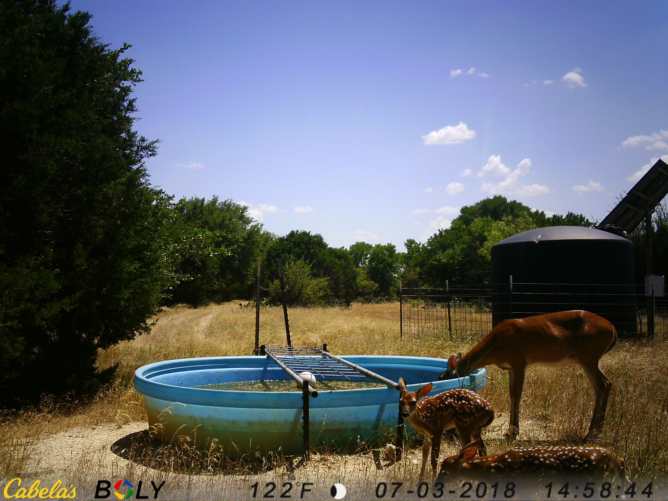 Supplemental Water for Wildlife