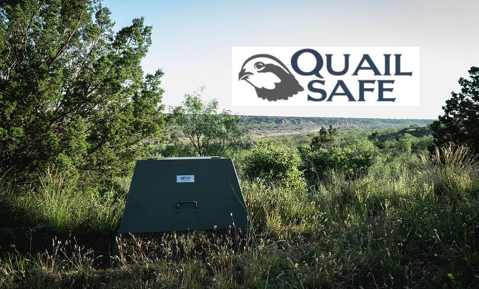 Quail Safe with Ron Kendall, Jr.