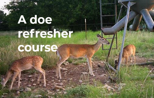 A doe refresher course