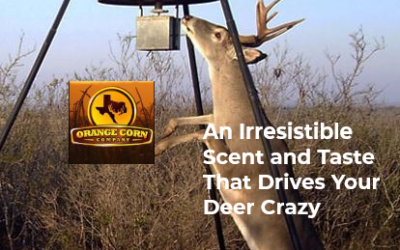 Orange Corn Company with Michael Haby