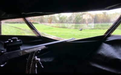 Turkey hunting kid tips