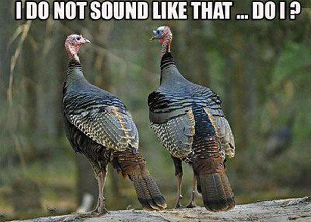 Listening for that ninja Gobbler