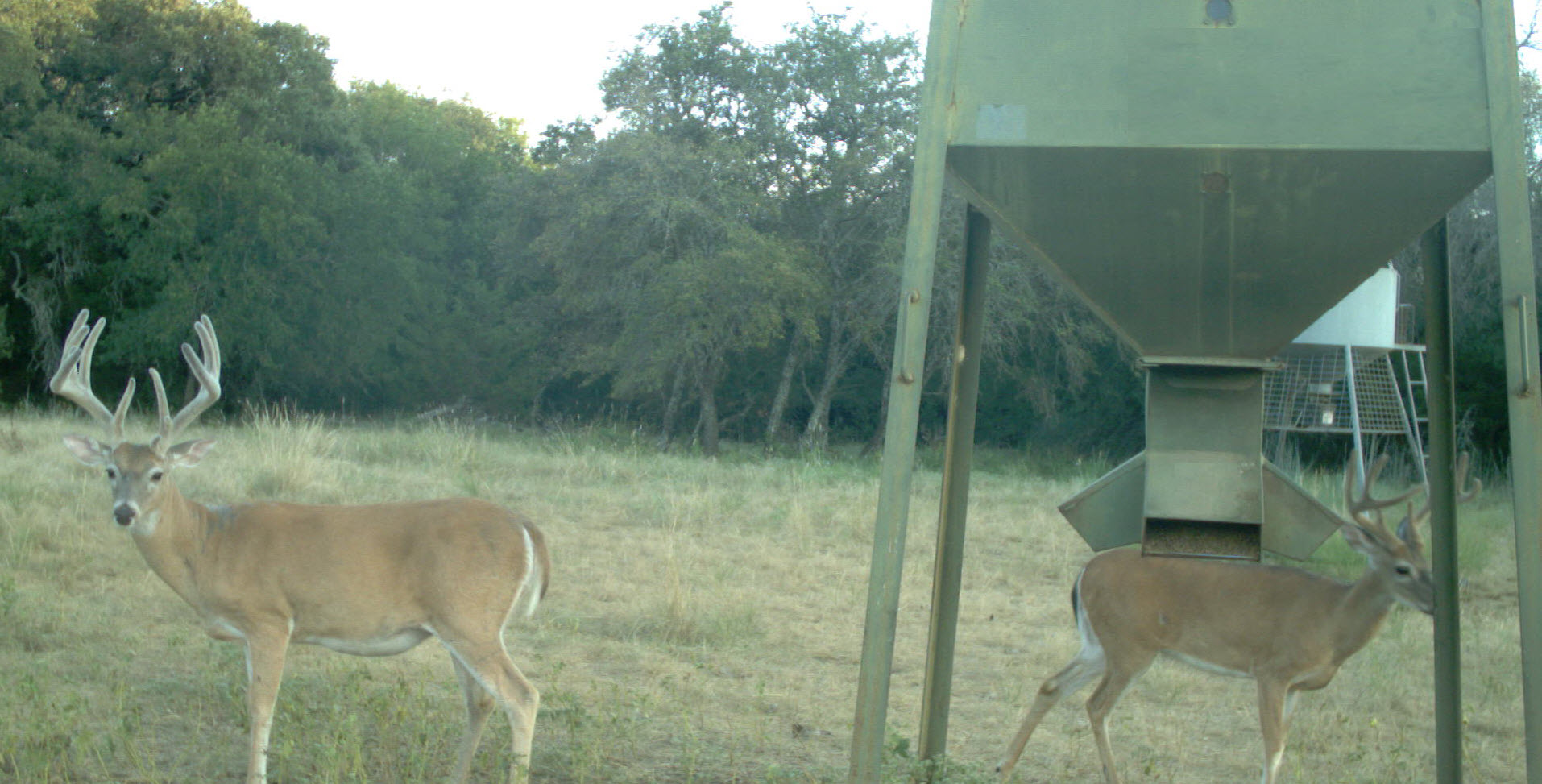 Opening Weekend 2020