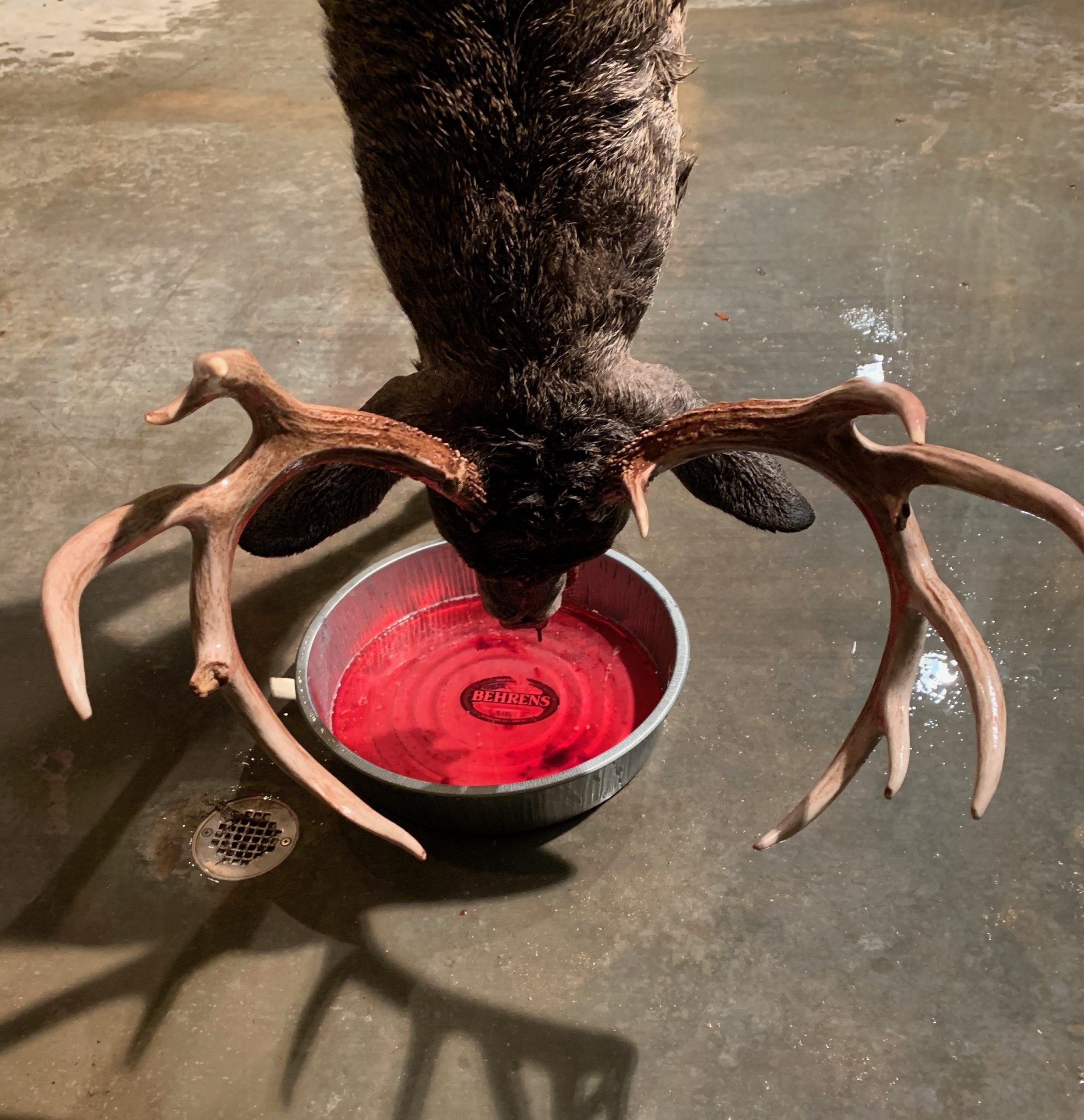 Time to rethink how we care for our venison, pt. 2