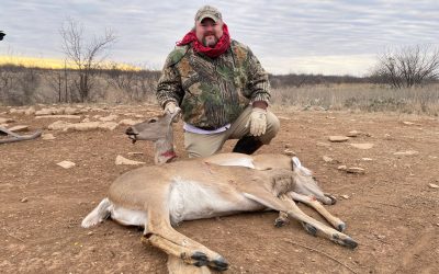 Fun with spam email, hunting in old stomping grounds and a new family toy