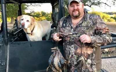 A tribute to Scarlett, We Miss You