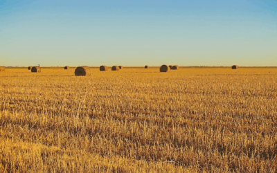 Texas History Roundup – August 21