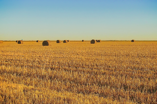 Texas History Roundup – August 21