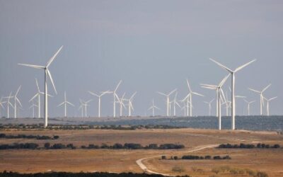 Texas History Roundup – August 31