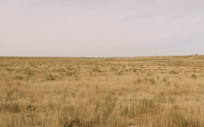 Texas History Roundup – October 20