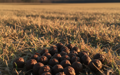 How to read deer poo