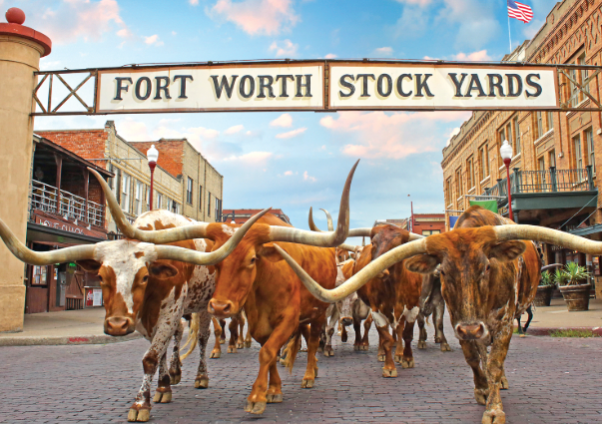 Texas History Roundup – January 19