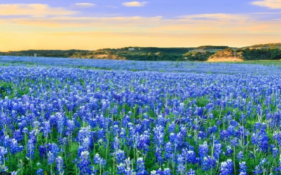 Texas History Roundup – March 7