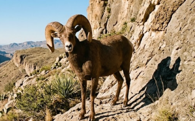 High Crags and Low Draws