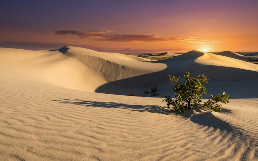 The Shifting Dunes of Monahans