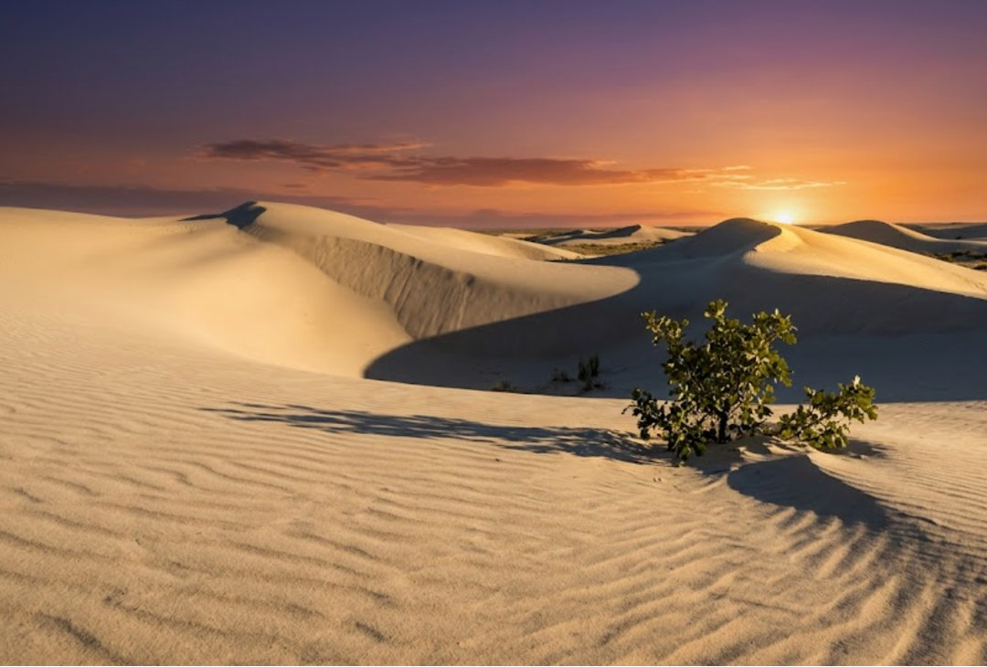 The Shifting Dunes of Monahans