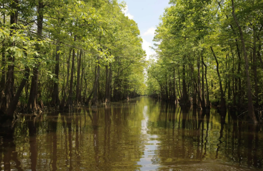 Texas History Roundup – July 5